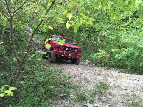 1989 Ford Bronco - Red 1989 Ford Bronco navigates a wooded off-road path.