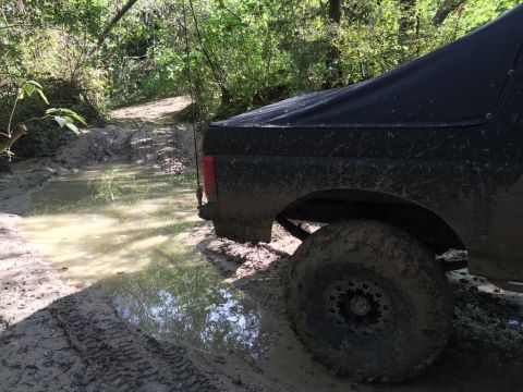 1989 Ford Bronco - A black SUV navigates a muddy path through a wooded area.