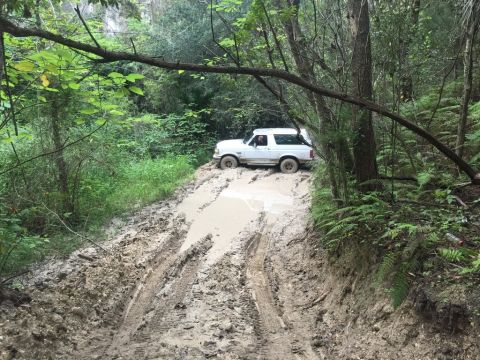 1989 Ford Bronco - A white SUV is stuck in a muddy trail surrounded by trees and foliage.