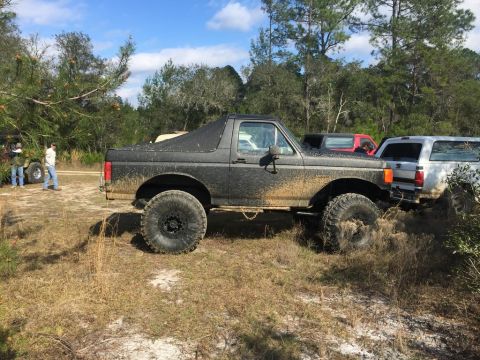 1989 Ford Bronco - A muddy black Ford Bronco is parked next to other vehicles in a wooded area.