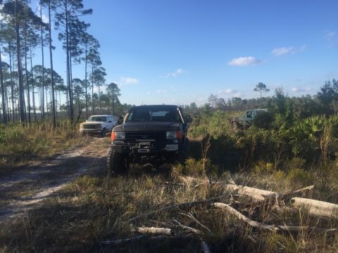 1989 Ford Bronco - Three SUVs, including a 1989 Ford Bronco, parked on a dirt path in a wooded area.