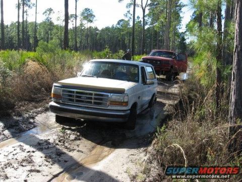 1989 Ford Bronco - Two trucks navigate a muddy path through a wooded area with tall trees and dry grass.