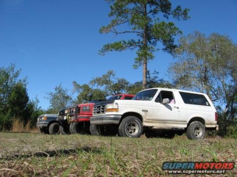 1989 Ford Bronco - A white 1992 Ford Bronco is parked in a grassy area with other SUVs under a clear blue sky.