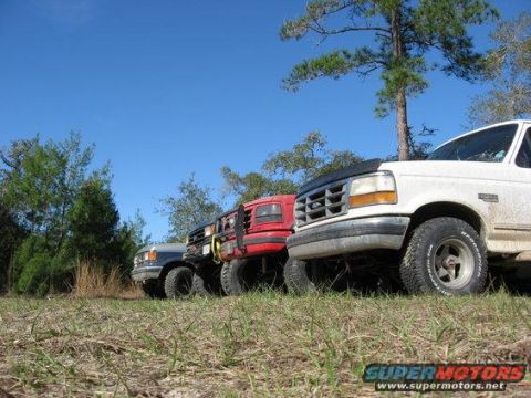 1989 Ford Bronco - Multiple Ford Broncos are lined up in a field under a clear blue sky.