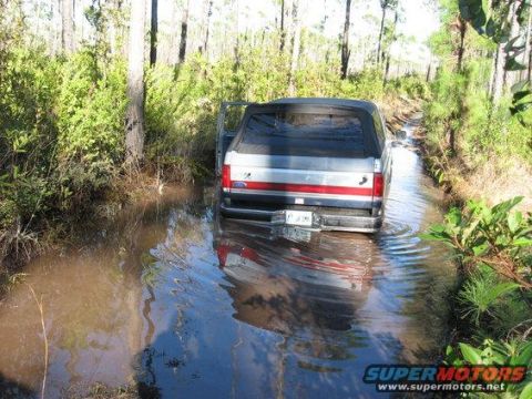 1989 Ford Bronco - A Ford Bronco navigates a water-filled path surrounded by trees and brush.