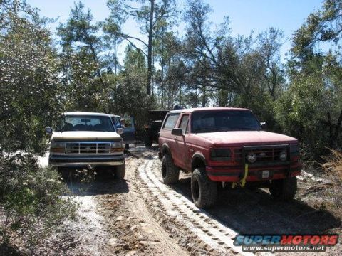 1989 Ford Bronco - Two Ford trucks, a Bronco and an F-Series, navigate a sandy, wooded trail with tire tracks visible.