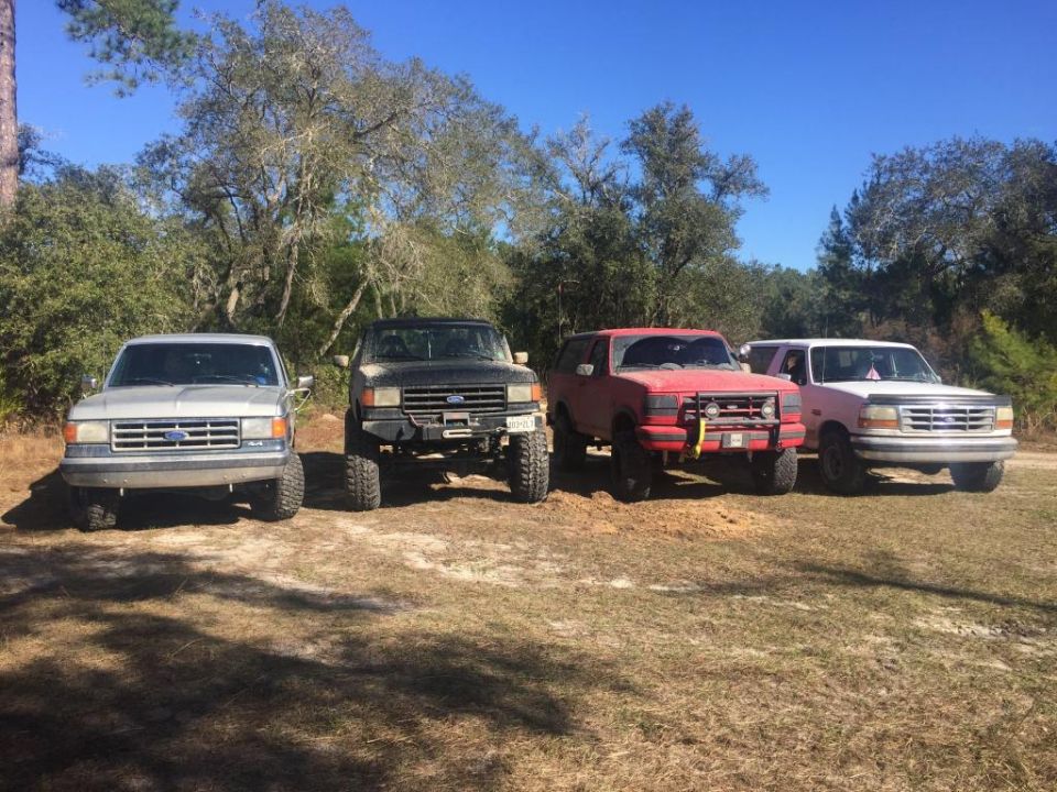 four Ford Broncos and F-150s parked outside