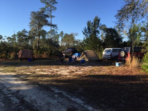 1989 Ford Bronco - Multiple vehicles are parked at a campsite with tents and trees under a clear blue sky.