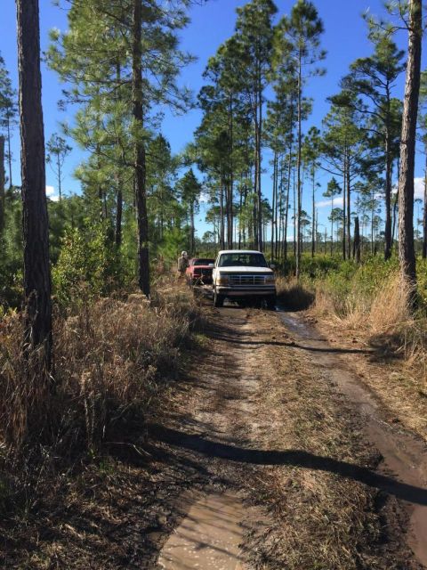 1989 Ford Bronco - Ford F-Series truck towing a trailer on a muddy path in a wooded area.