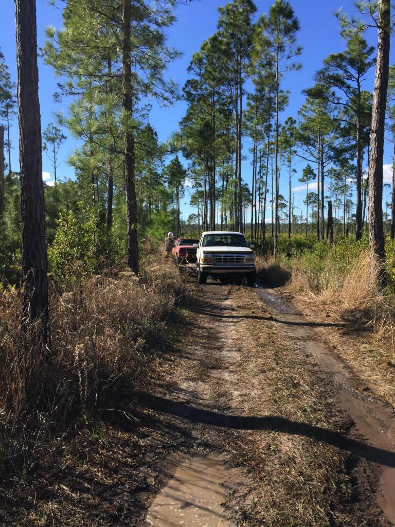 1992 Ford F-Series truck towing a trailer on a muddy dirt road through a pine forest