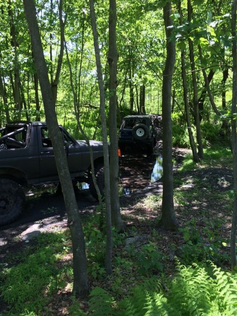 1989 Ford Bronco - Two SUVs, including a 1989 Ford Bronco, drive through a wooded area with a muddy path.