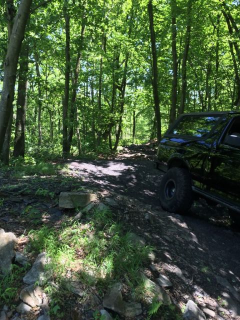 1989 Ford Bronco - A black SUV navigates a rocky, wooded trail on a sunny day.