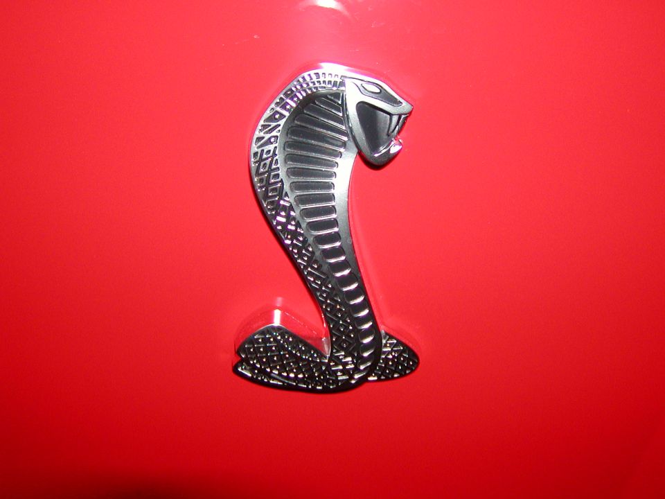 Chrome Cobra snake emblem on a red car.
