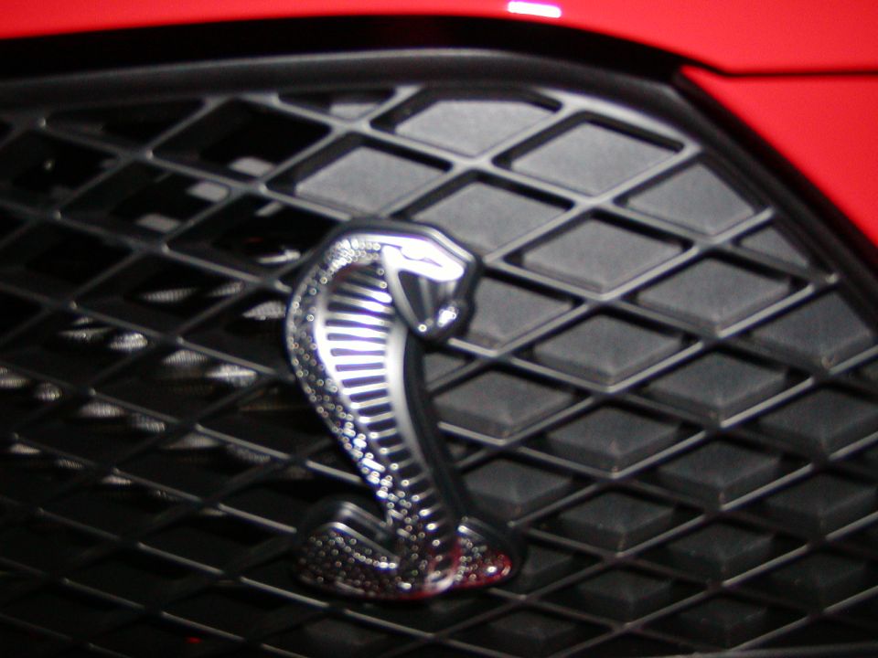 Chrome cobra emblem on a black grille of a red car.