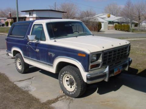 1981 Ford Bronco - Just another angle.