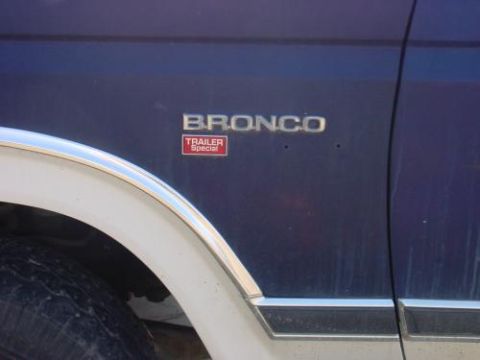 1981 Ford Bronco - Missing an emblem. Note the "Trailer Special" :)