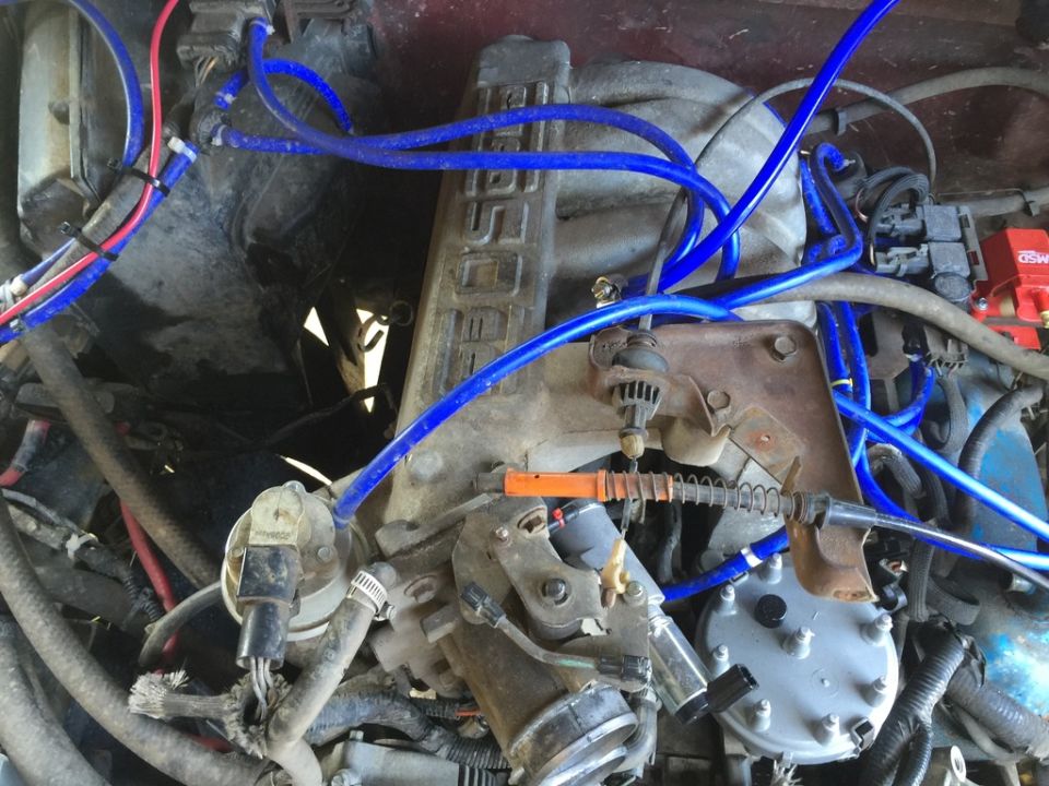 Engine bay with blue hoses and wiring, showing a Ford engine cover