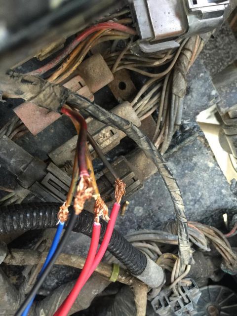 1989 Ford Bronco - A close-up view of a vehicle's complex wiring harness shows frayed wires and exposed copper.