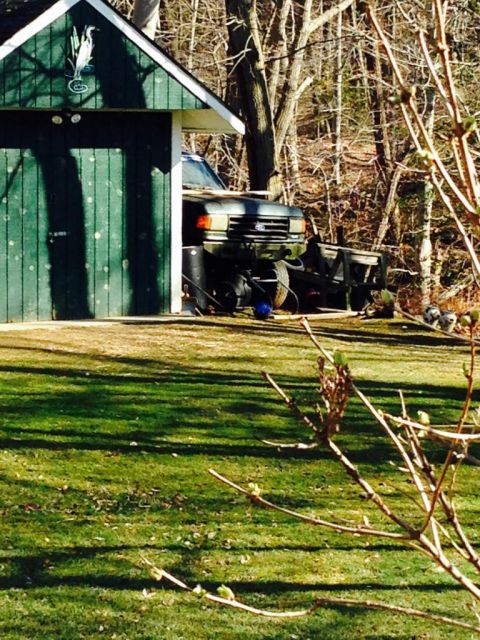 1989 Ford Bronco - A dark green 1987 Ford Bronco is partially parked inside a green shed in a wooded area.
