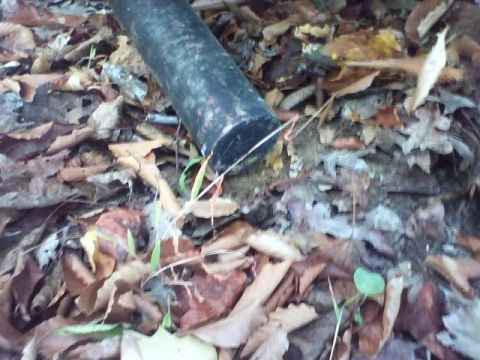 1989 Ford Bronco - A dark, cylindrical object lies on a bed of fallen leaves. The object appears to be a pipe or a similar cylindrical item, possibly made of…