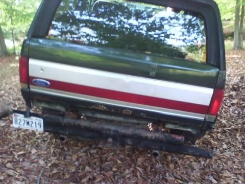 1989 Ford Bronco - The rear of a dark green Ford Bronco with a silver and red stripe is visible, parked on a ground covered with fallen leaves. A license plat…