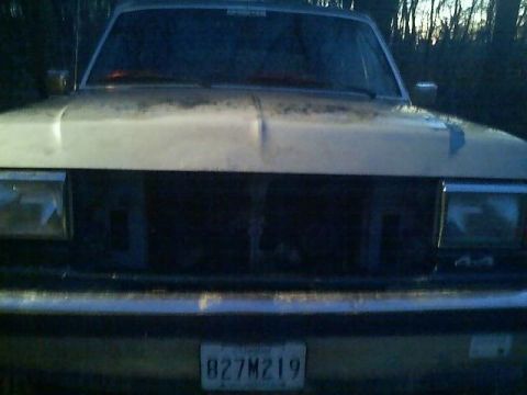 1989 Ford Bronco - The front view of a light-colored pickup truck with a dark grille and a license plate reading "827M219". The hood shows signs of wear and p…