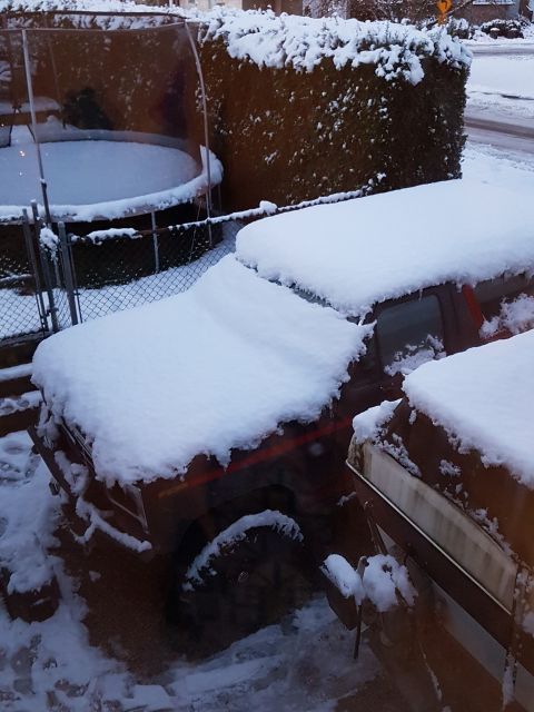 1984 Ford Bronco - A snow-covered SUV sits parked on a winter day, partially obscured by snowdrifts.