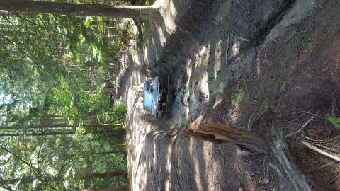 1984 Ford Bronco - Vehicle tackling a challenging muddy path through a dense forest.