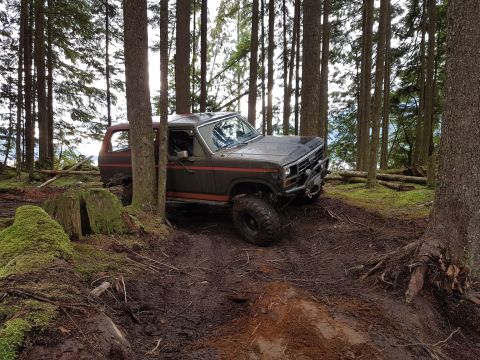 1984 Ford Bronco - A classic Ford Bronco navigates a challenging, wooded terrain with muddy tracks.