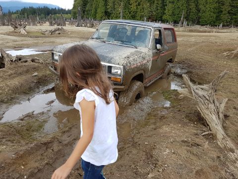 1984 Ford Bronco - A muddy 1980s full-size Ford Bronco with off-road tires sits bogged down in a muddy field of dead tree stumps while a young girl in a white…