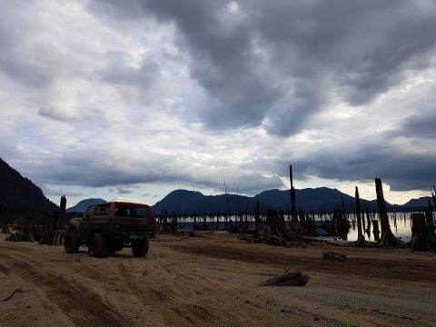 1984 Ford Bronco - A lone SUV sits on a dirt path beside a body of water dotted with dead trees under a cloudy sky.