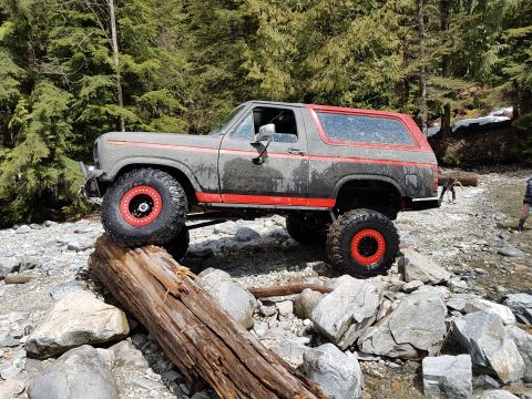 1984 Ford Bronco - Modified Ford Bronco navigates a challenging off-road terrain with large tires and lifted suspension.