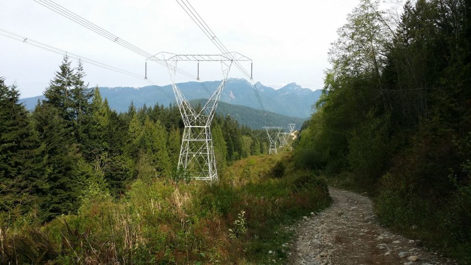 Gravel path leads through trees toward distant mountains and power line towers