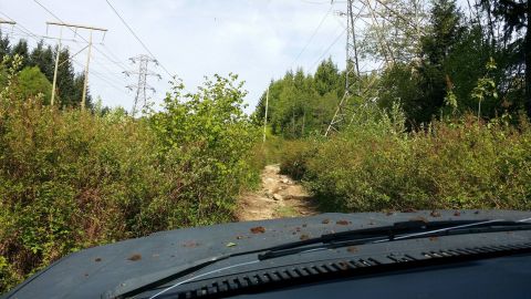 1984 Ford Bronco - Driving through dense vegetation on a rough trail under power lines.