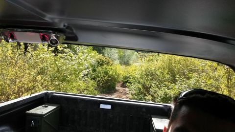 1984 Ford Bronco - View from inside a pickup truck bed, looking out at a path surrounded by dense green foliage.