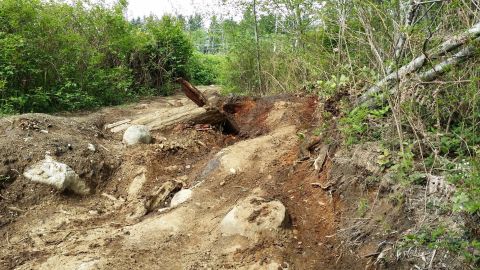 1984 Ford Bronco - A dirt path is obstructed by a fallen log and large rocks, surrounded by dense foliage.