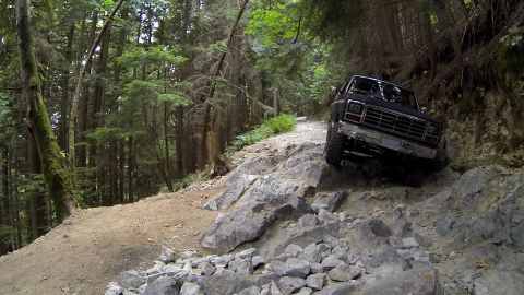 1984 Ford Bronco - A black Ford Bronco navigates a challenging rocky path through a dense forest.