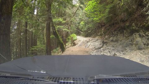 1984 Ford Bronco - Driving on a rough, unpaved road through a dense forest.