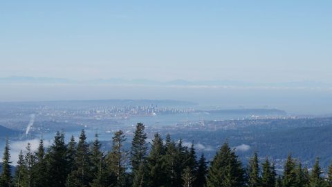 1984 Ford Bronco - A distant city skyline is visible through a haze, framed by evergreen trees in the foreground.
