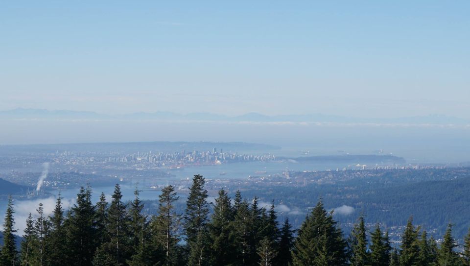 View of a hazy city skyline and mountains from a forested overlook