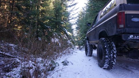 1984 Ford Bronco - A lifted Ford Bronco navigates a snow-covered path through a dense forest.