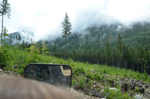 1984 Ford Bronco - Driving through a misty, forested mountain landscape with a side mirror in view.