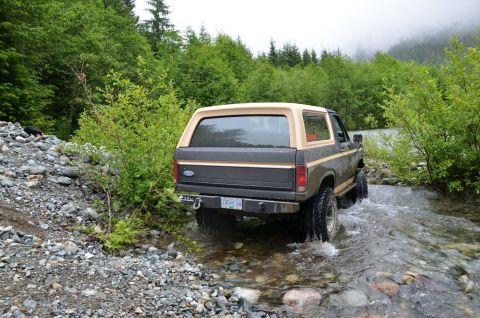 1984 Ford Bronco - A Ford Bronco navigates a rocky stream bed surrounded by lush green foliage.