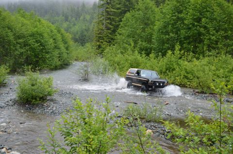 1984 Ford Bronco - A Ford Bronco navigates a rocky stream bed surrounded by lush green foliage and a misty forest.