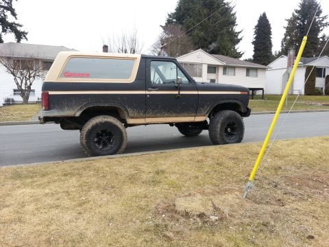 1984 Ford Bronco - Lifted black Ford Bronco with tan top, parked curbside on a street. Red sticker visible on the rear window.