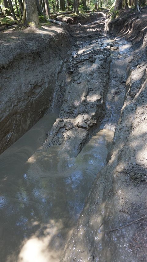 1984 Ford Bronco - A challenging muddy trail with deep ruts and water suggests off-road vehicle use.