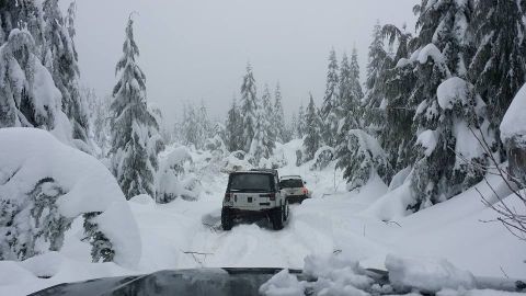 1984 Ford Bronco - Off-roading through a winter wonderland with multiple vehicles on a snow-covered trail.