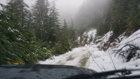 1984 Ford Bronco - Driving through a snowy and muddy forest road, the view is from the interior of the vehicle.