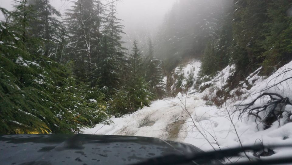 View from inside a vehicle on a snowy forest road