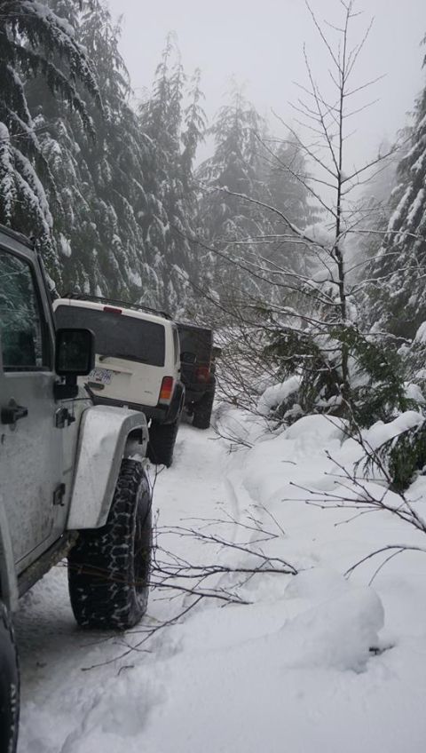1984 Ford Bronco - Multiple SUVs navigate a snowy trail through a dense forest during winter conditions.